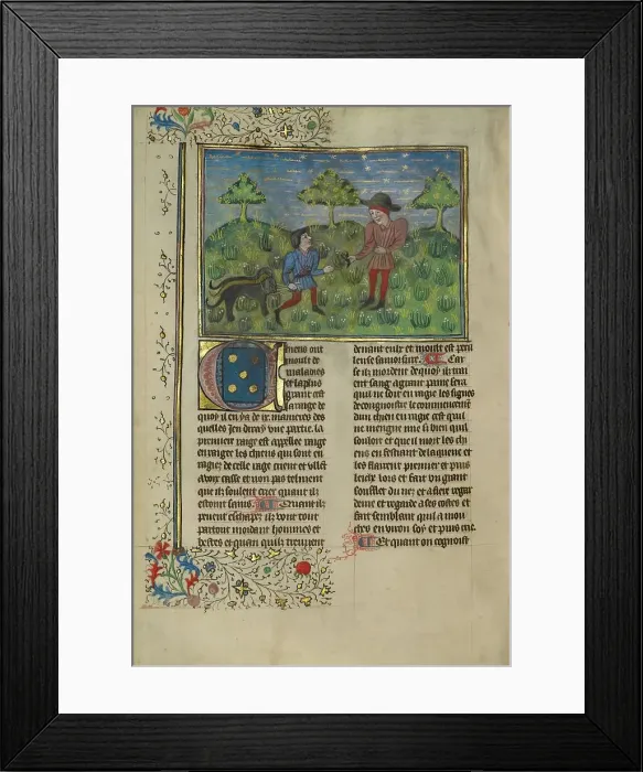 Framed Print : A Doctor, a Hunter, and Three Sick Dogs; Livre de la Chasse, about 1430-1440. Creator: Unknown Framed Print : A Doctor, a Hunter, and Three Sick Dogs; Livre de la Chasse, about 1430-1440. Creator: Unknown