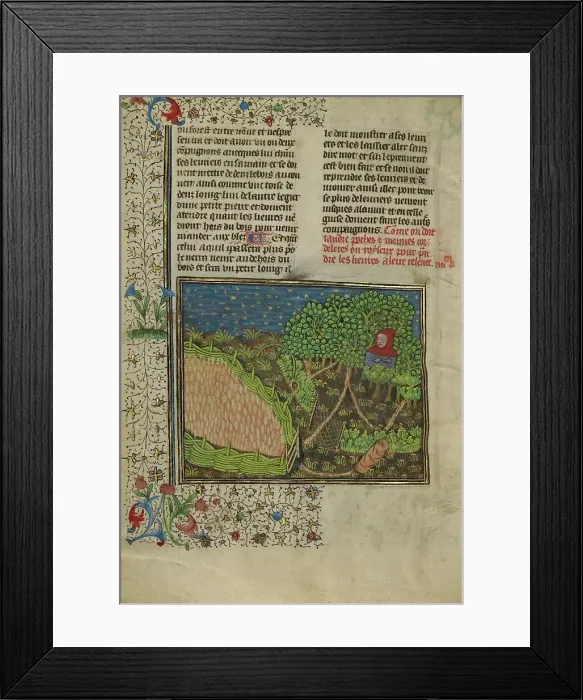 Framed Print : A Hunter and Snares Used to Trap Hares; Livre de la Chasse, about 1430-1440. Creator: Unknown Framed Print : A Hunter and Snares Used to Trap Hares; Livre de la Chasse, about 1430-1440. Creator: Unknown