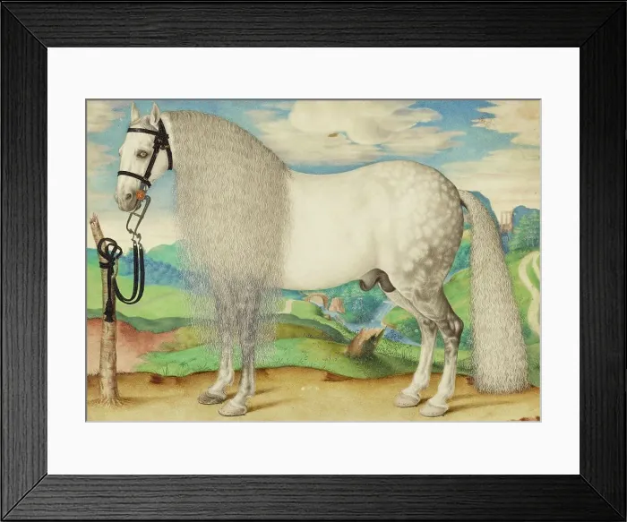 Framed Print : A Dappled Gray Stallion Tethered in a Landscape, about 1584-1587. Creator: Unknown Framed Print : A Dappled Gray Stallion Tethered in a Landscape, about 1584-1587. Creator: Unknown