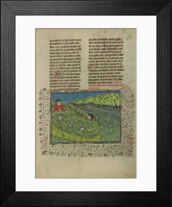 Framed Print : Hunters with Bells Driving Hares into a Net; Livre de la Chasse, about 1430-1440. Creator: Unknown Framed Print : Hunters with Bells Driving Hares into a Net; Livre de la Chasse, about 1430-1440. Creator: Unknown