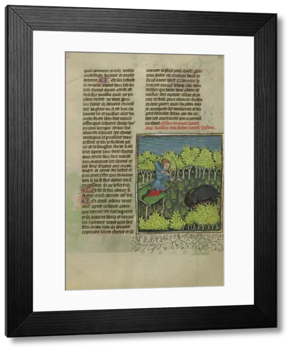 Framed Print : An Archer on a Platform Shooting at a Wallowing Wild Boar; Livre de la Chasse, about 1430-1440. Creator: Unknown Framed Print : An Archer on a Platform Shooting at a Wallowing Wild Boar; Livre de la Chasse, about 1430-1440. Creator: Unknown