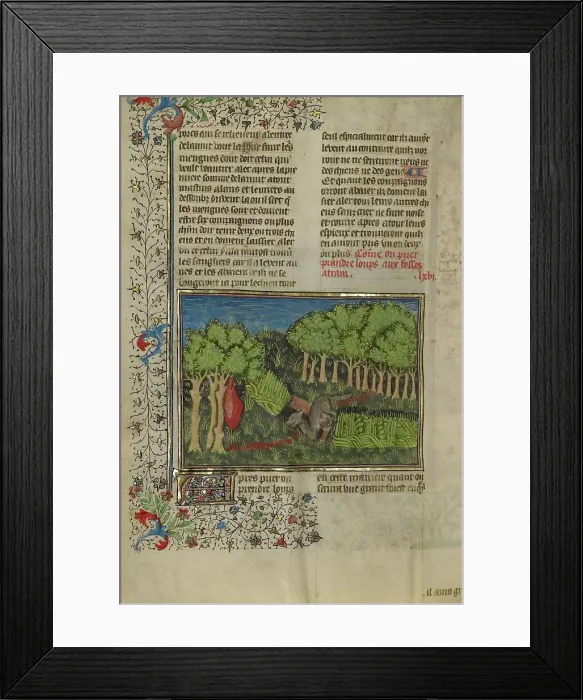 Framed Print : A Wolf Attracted with Bait to a Covered Pit; Livre de la Chasse, about 1430-1440. Creator: Unknown