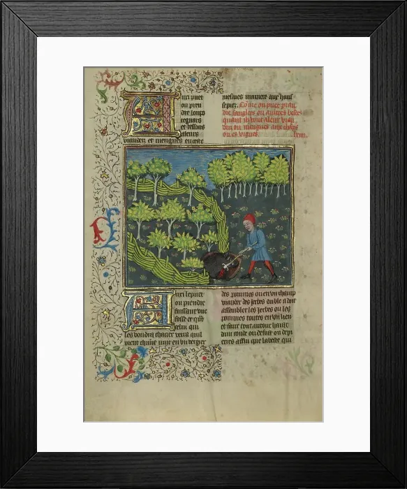 Framed Print : A Hunter Wounding a Wild Boar Caught in a Pit; Livre de la Chasse, about 1430-1440. Creator: Unknown Framed Print : A Hunter Wounding a Wild Boar Caught in a Pit; Livre de la Chasse, about 1430-1440. Creator: Unknown