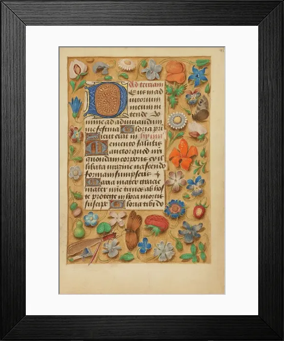Framed Print : Decorated Initial D; Crohin-La Fontaine Hours, (about 1480-1485?). Creator: Unknown Framed Print : Decorated Initial D; Crohin-La Fontaine Hours, (about 1480-1485?). Creator: Unknown