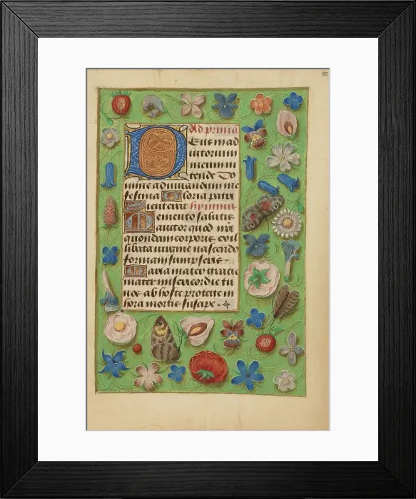 Framed Print : Decorated Initial D; Crohin-La Fontaine Hours, (about 1480-1485?). Creator: Unknown Framed Print : Decorated Initial D; Crohin-La Fontaine Hours, (about 1480-1485?). Creator: Unknown