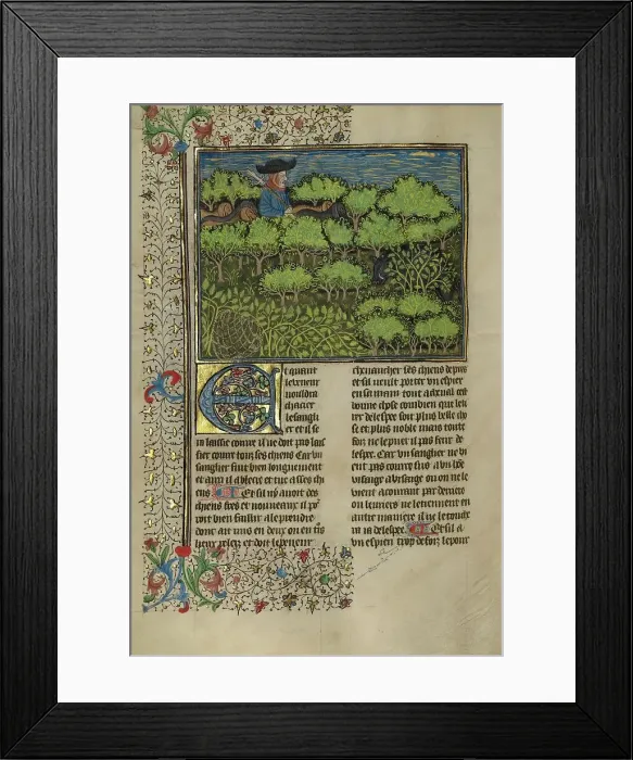 Framed Print : A Hunter and Dogs Pursuing a Wild Boar; Livre de la Chasse, about 1430-1440. Creator: Unknown Framed Print : A Hunter and Dogs Pursuing a Wild Boar; Livre de la Chasse, about 1430-1440. Creator: Unknown