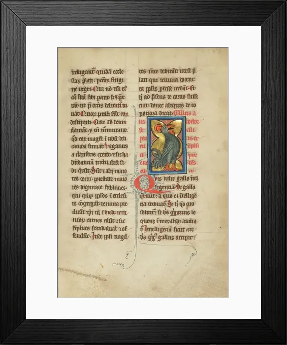 Framed Print : A Rooster; De Natura Avium; De Pastoribus et Ovibus; Bestiarium, 1277 or after. Creator: Unknown Framed Print : A Rooster; De Natura Avium; De Pastoribus et Ovibus; Bestiarium, 1277 or after. Creator: Unknown