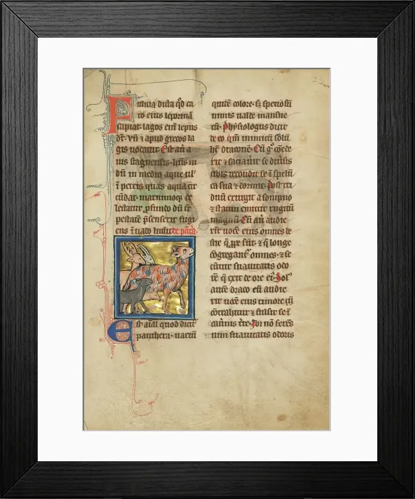 Framed Print : A Panther; De Natura Avium; De Pastoribus et Ovibus; Bestiarium, 1277 or after. Creator: Unknown Framed Print : A Panther; De Natura Avium; De Pastoribus et Ovibus; Bestiarium, 1277 or after. Creator: Unknown
