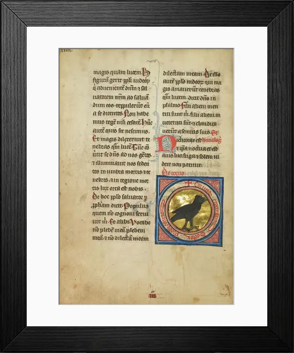 Framed Print : A Magpie; De Natura Avium; De Pastoribus et Ovibus, 1277 or after. Creator: Unknown Framed Print : A Magpie; De Natura Avium; De Pastoribus et Ovibus, 1277 or after. Creator: Unknown