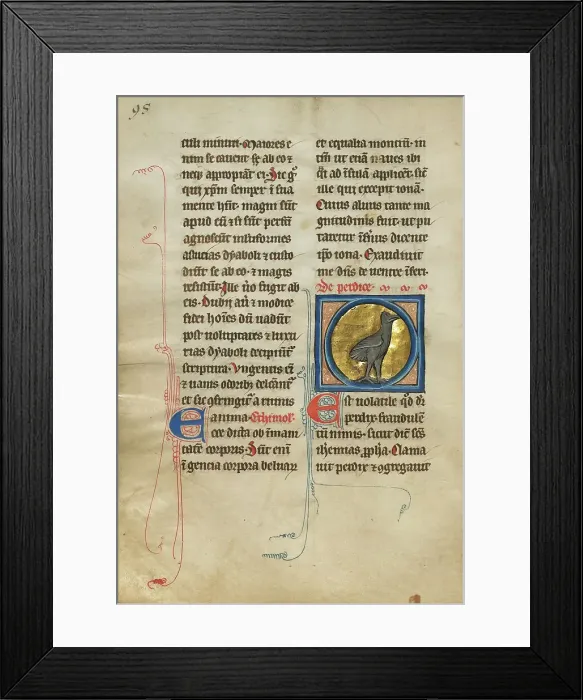 Framed Print : A Partridge; De Natura Avium; De Pastoribus et Ovibus, 1277 or after. Creator: Unknown Framed Print : A Partridge; De Natura Avium; De Pastoribus et Ovibus, 1277 or after. Creator: Unknown
