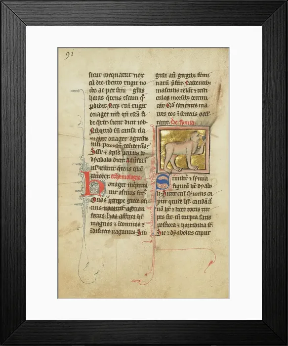 Framed Print : A Monkey; De Natura Avium; De Pastoribus et Ovibus, 1277 or after. Creator: Unknown Framed Print : A Monkey; De Natura Avium; De Pastoribus et Ovibus, 1277 or after. Creator: Unknown