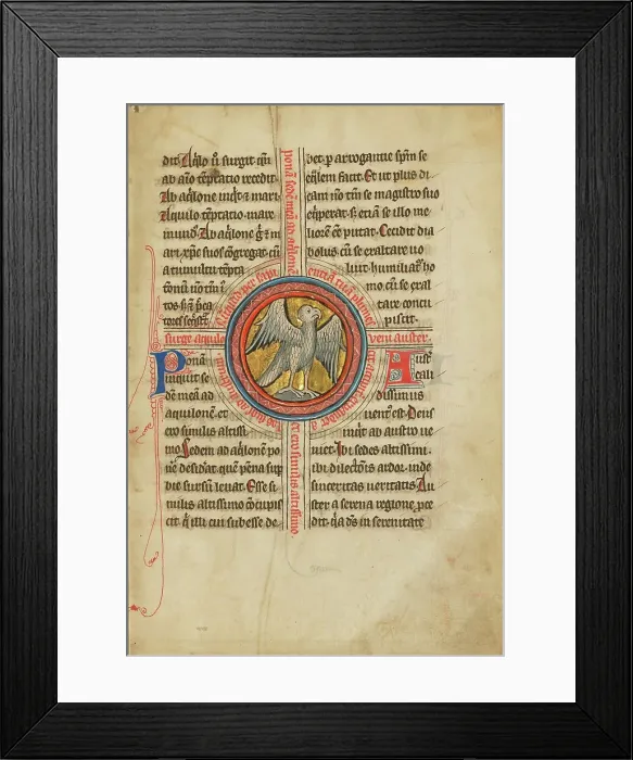Framed Print : A Falcon within a Cross; De Natura Avium; De Pastoribus et Ovibus; Bestiarium, 1277 or after. Creator: Unknown Framed Print : A Falcon within a Cross; De Natura Avium; De Pastoribus et Ovibus; Bestiarium, 1277 or after. Creator: Unknown