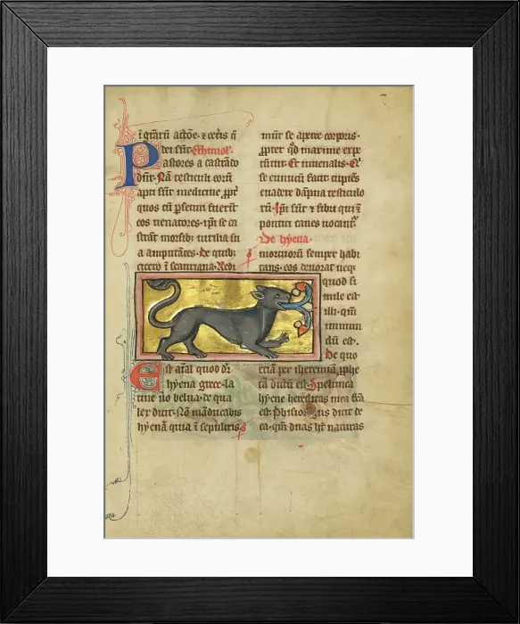 Framed Print : A Hyena; De Natura Avium; De Pastoribus et Ovibus; Bestiarium, 1277 or after. Creator: Unknown Framed Print : A Hyena; De Natura Avium; De Pastoribus et Ovibus; Bestiarium, 1277 or after. Creator: Unknown