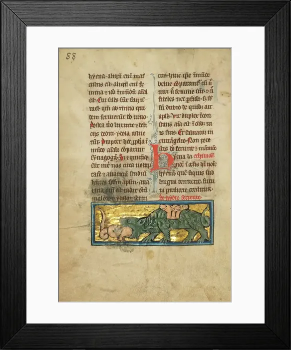 Framed Print : A Crocodile and a Hydrus; De Natura Avium; De Pastoribus et Ovibus, 1277 or after. Creator: Unknown Framed Print : A Crocodile and a Hydrus; De Natura Avium; De Pastoribus et Ovibus, 1277 or after. Creator: Unknown