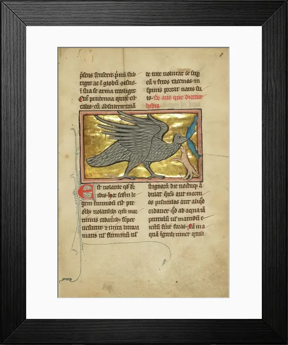 Framed Print : An Ibis with Two Fish in its Beak; De Natura Avium; De Pastoribus et Ovibus, 1277 or after. Creator: Unknown Framed Print : An Ibis with Two Fish in its Beak; De Natura Avium; De Pastoribus et Ovibus, 1277 or after. Creator: Unknown