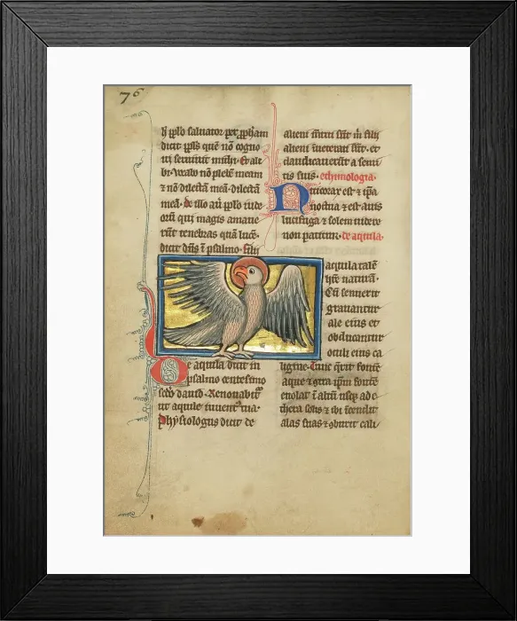 Framed Print : An Eagle; De Natura Avium; De Pastoribus et Ovibus, 1277 or after. Creator: Unknown Framed Print : An Eagle; De Natura Avium; De Pastoribus et Ovibus, 1277 or after. Creator: Unknown