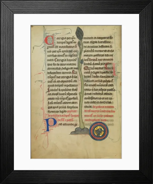 Framed Print : A Dead Turtle Dove in a Nest; De Natura Avium; De Pastoribus et Ovibus, 1277 or after. Creator: Unknown