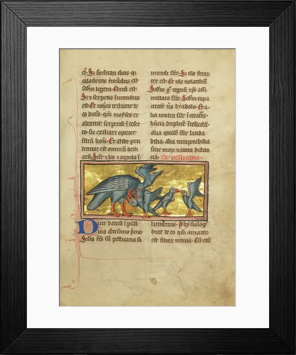 Framed Print : A Pelican Feeding her Young; De Natura Avium; De Pastoribus et Ovibus; Bestiarium, 1277 or after. Creator: Unknown Framed Print : A Pelican Feeding her Young; De Natura Avium; De Pastoribus et Ovibus; Bestiarium, 1277 or after. Creator: Unknown