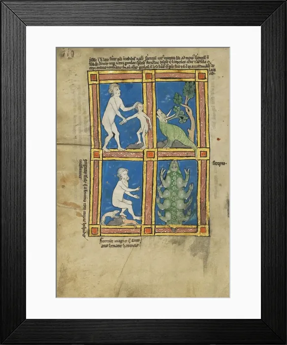 Framed Print : Praesillus; A Hairy Woman of the Island of Gorgade; A Scorpion; De Natura Avium... 1277 or after. Creator: Unknown Framed Print : Praesillus; A Hairy Woman of the Island of Gorgade; A Scorpion; De Natura Avium... 1277 or after. Creator: Unknown