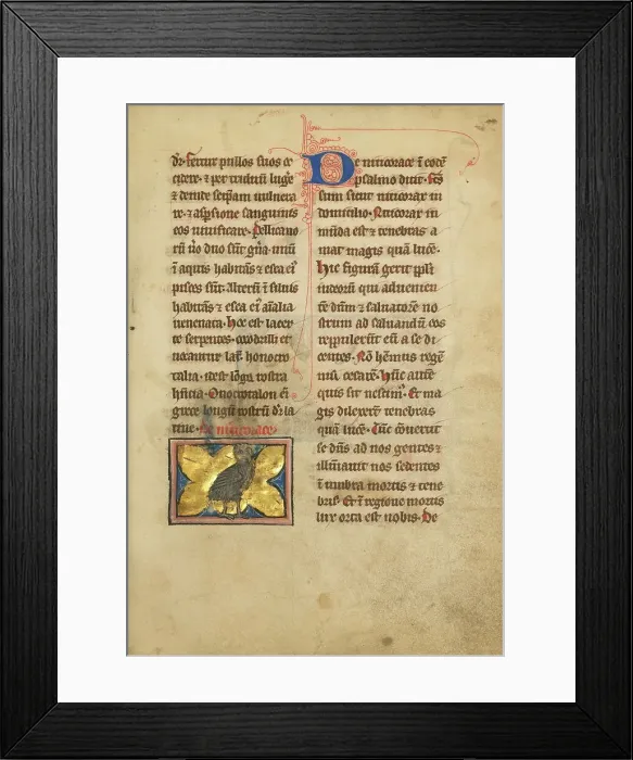 Framed Print : A Night Heron; De Natura Avium; De Pastoribus et Ovibus; Bestiarium, 1277 or after. Creator: Unknown Framed Print : A Night Heron; De Natura Avium; De Pastoribus et Ovibus; Bestiarium, 1277 or after. Creator: Unknown