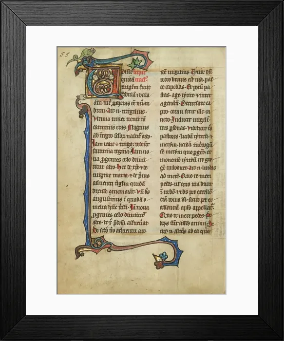 Framed Print : Decorated Initial V; De Natura Avium; De Pastoribus et Ovibus, 1277 or after. Creator: Unknown Framed Print : Decorated Initial V; De Natura Avium; De Pastoribus et Ovibus, 1277 or after. Creator: Unknown