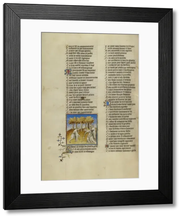 Framed Print : A Woman and Two Men Eating Fruit; Roman de la Rose, about 1405. Creator: Unknown Framed Print : A Woman and Two Men Eating Fruit; Roman de la Rose, about 1405. Creator: Unknown