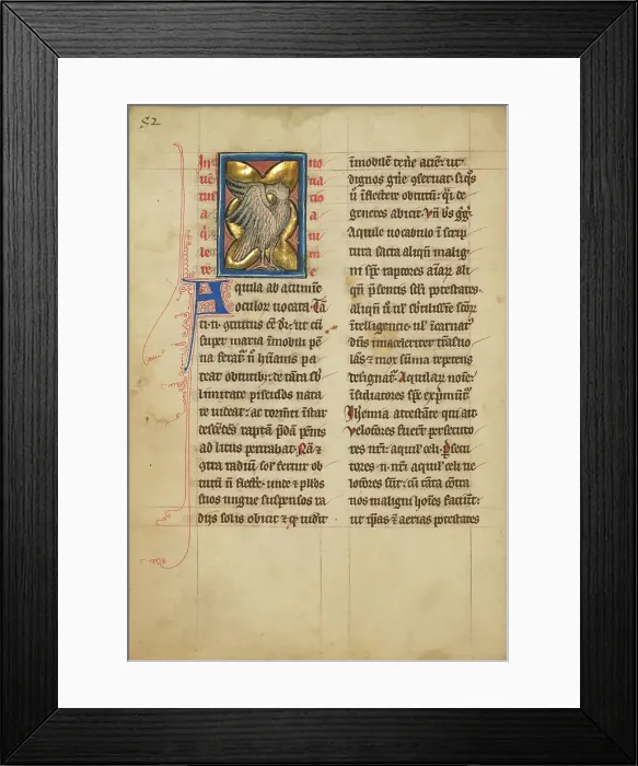 Framed Print : An Eagle; De Natura Avium; De Pastoribus et Ovibus, 1277 or after. Creator: Unknown Framed Print : An Eagle; De Natura Avium; De Pastoribus et Ovibus, 1277 or after. Creator: Unknown