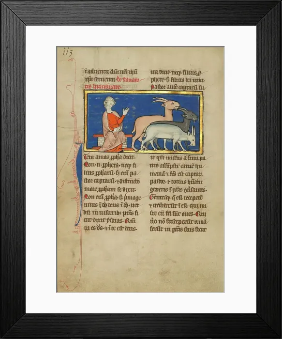 Framed Print : Amos and Three Goats; De Natura Avium; De Pastoribus et Ovibus, 1277 or after. Creator: Unknown Framed Print : Amos and Three Goats; De Natura Avium; De Pastoribus et Ovibus, 1277 or after. Creator: Unknown