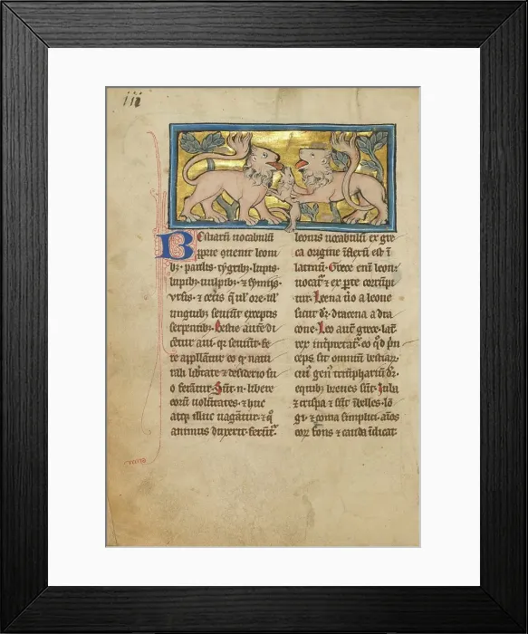 Framed Print : Two Lions Reviving their Dead Cubs; De Natura Avium; De Pastoribus et Ovibus, 1277 or after. Creator: Unknown Framed Print : Two Lions Reviving their Dead Cubs; De Natura Avium; De Pastoribus et Ovibus, 1277 or after. Creator: Unknown