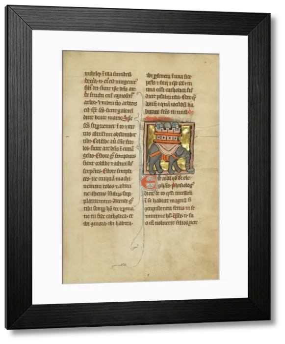 Framed Print : An Elephant Carrying Three Soldiers; De Natura Avium; De Pastoribus et Ovibus, 1277 or after. Creator: Unknown Framed Print : An Elephant Carrying Three Soldiers; De Natura Avium; De Pastoribus et Ovibus, 1277 or after. Creator: Unknown