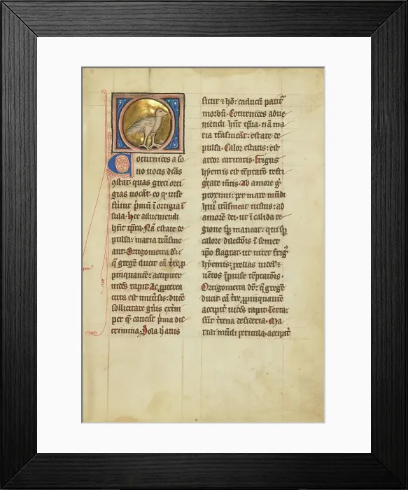 Framed Print : A Quail; De Natura Avium; De Pastoribus et Ovibus; Bestiarium, 1277 or after. Creator: Unknown Framed Print : A Quail; De Natura Avium; De Pastoribus et Ovibus; Bestiarium, 1277 or after. Creator: Unknown