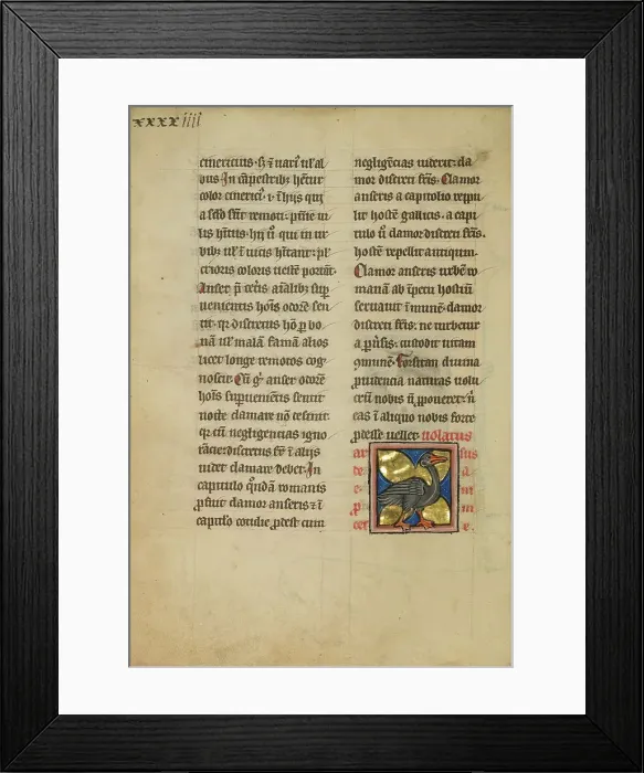 Framed Print : A Heron; De Natura Avium; De Pastoribus et Ovibus, 1277 or after. Creator: Unknown Framed Print : A Heron; De Natura Avium; De Pastoribus et Ovibus, 1277 or after. Creator: Unknown