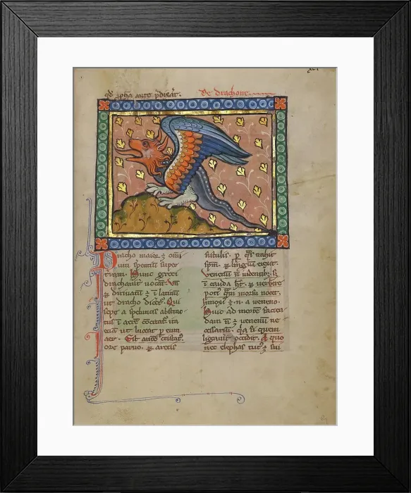 Framed Print : A Dragon; Bestiary, about 1270. Creator: Unknown Framed Print : A Dragon; Bestiary, about 1270. Creator: Unknown