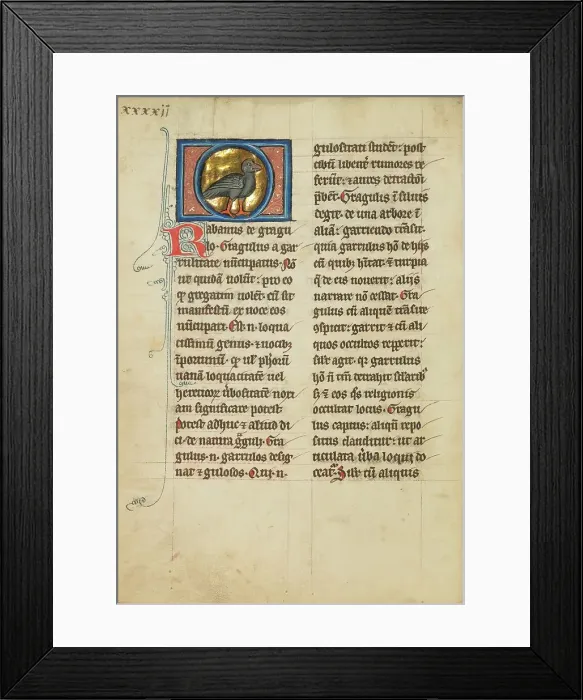 Framed Print : A Jackdaw; De Natura Avium; De Pastoribus et Ovibus, 1277 or after. Creator: Unknown Framed Print : A Jackdaw; De Natura Avium; De Pastoribus et Ovibus, 1277 or after. Creator: Unknown