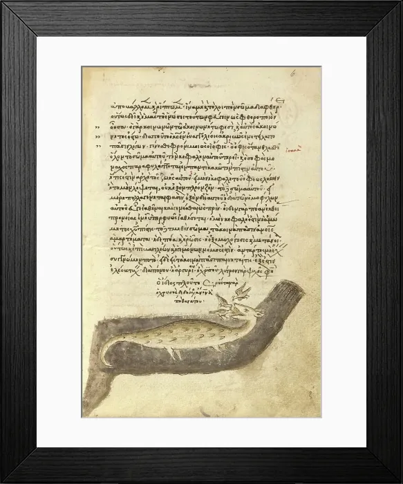 Framed Print : Three Birds Pecking at a Crocodile; Miscellany: Physiologus: other texts, 1510-1520. Creator: Unknown Framed Print : Three Birds Pecking at a Crocodile; Miscellany: Physiologus: other texts, 1510-1520. Creator: Unknown