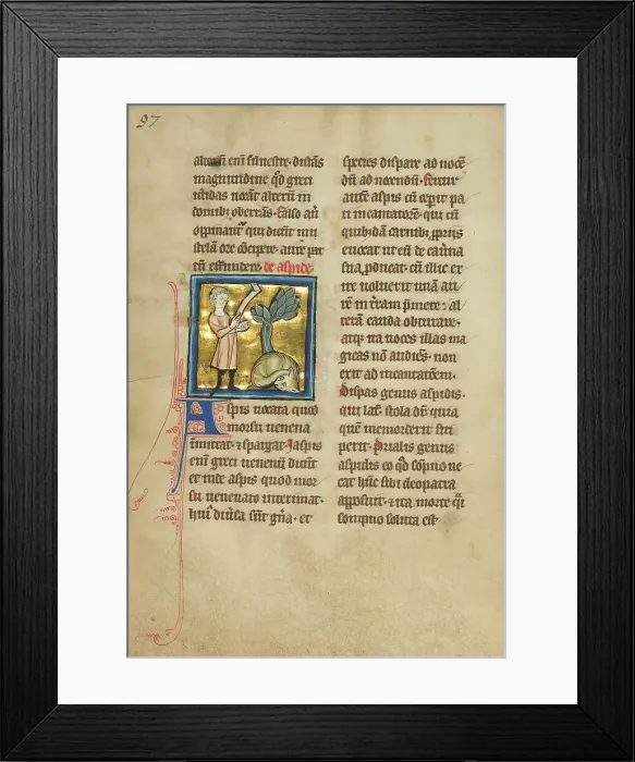 Framed Print : An Asp; De Natura Avium; De Pastoribus et Ovibus, 1277 or after. Creator: Unknown