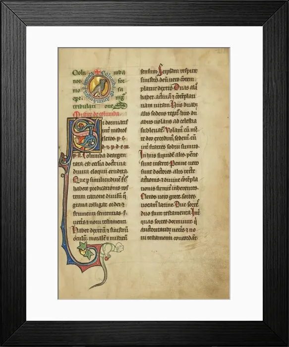 Framed Print : A Medallion with a Dove; De Natura Avium; De Pastoribus et Ovibus; Bestiarium, 1277 or after. Creator: Unknown Framed Print : A Medallion with a Dove; De Natura Avium; De Pastoribus et Ovibus; Bestiarium, 1277 or after. Creator: Unknown