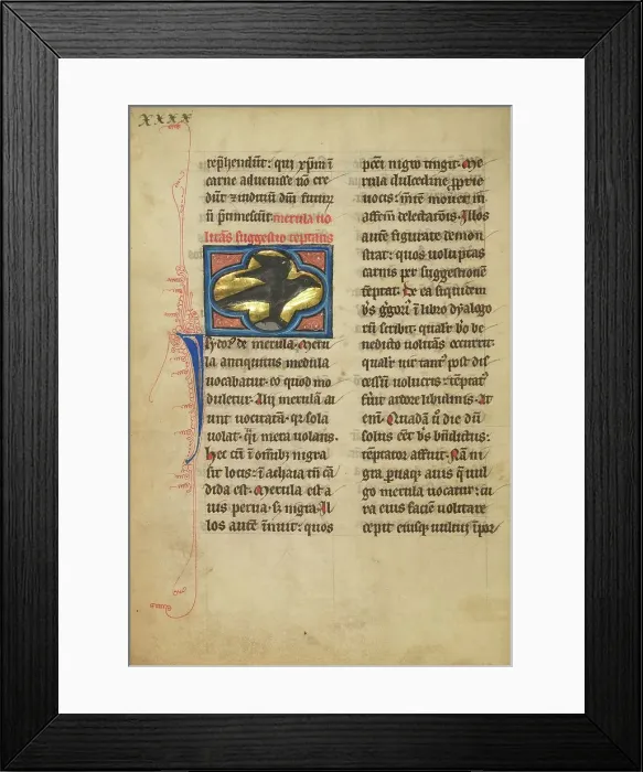 Framed Print : A Blackbird; De Natura Avium; De Pastoribus et Ovibus; On the Soul, 1277 or after. Creator: Unknown Framed Print : A Blackbird; De Natura Avium; De Pastoribus et Ovibus; On the Soul, 1277 or after. Creator: Unknown