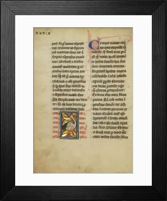 Framed Print : A Stork; De Natura Avium; De Pastoribus et Ovibus, On the Soul, 1277 or after. Creator: Unknown Framed Print : A Stork; De Natura Avium; De Pastoribus et Ovibus, On the Soul, 1277 or after. Creator: Unknown