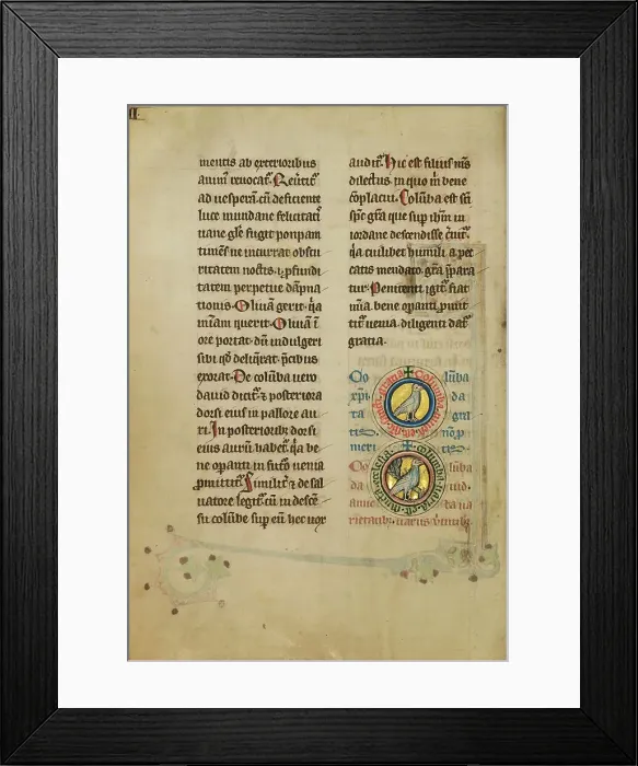 Framed Print : Two Medallions with Doves; De Natura Avium; De Pastoribus et Ovibus, 1277 or after. Creator: Unknown Framed Print : Two Medallions with Doves; De Natura Avium; De Pastoribus et Ovibus, 1277 or after. Creator: Unknown