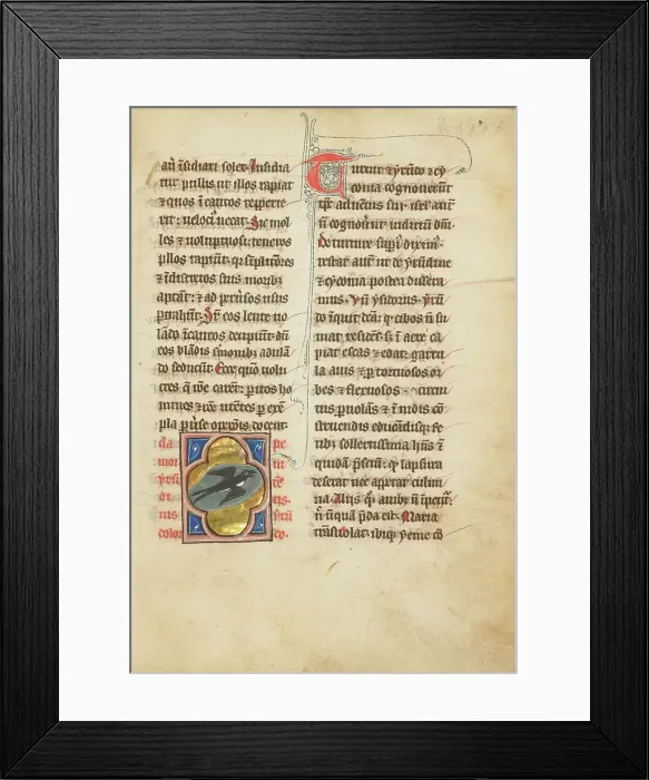Framed Print : A Swallow; De Natura Avium; De Pastoribus et Ovibus; Bestiarium, 1277 or after. Creator: Unknown Framed Print : A Swallow; De Natura Avium; De Pastoribus et Ovibus; Bestiarium, 1277 or after. Creator: Unknown
