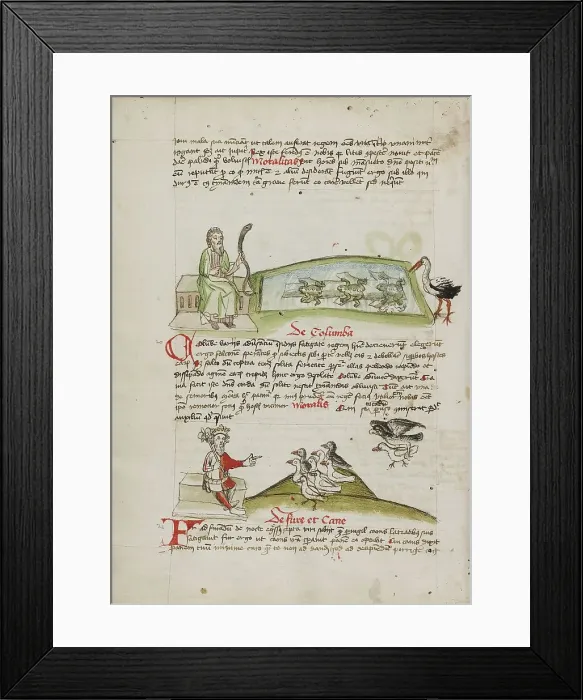 Framed Print : A Man with a Snake in his Hand: A King Speaking to a Flock of Doves, third quarter of 15th century. Creator: Unknown