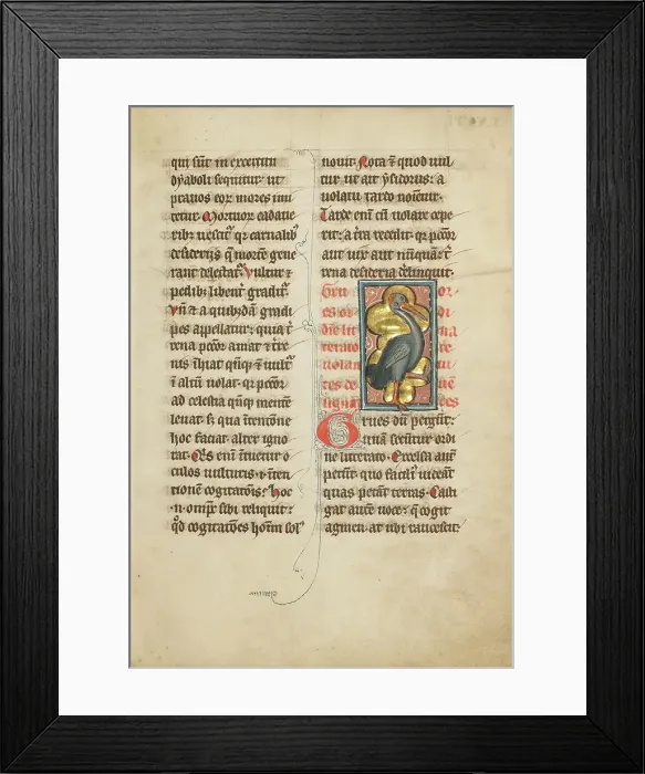 Framed Print : A Crane; De Natura Avium; De Pastoribus et Ovibus; Bestiarium, 1277 or after. Creator: Unknown Framed Print : A Crane; De Natura Avium; De Pastoribus et Ovibus; Bestiarium, 1277 or after. Creator: Unknown