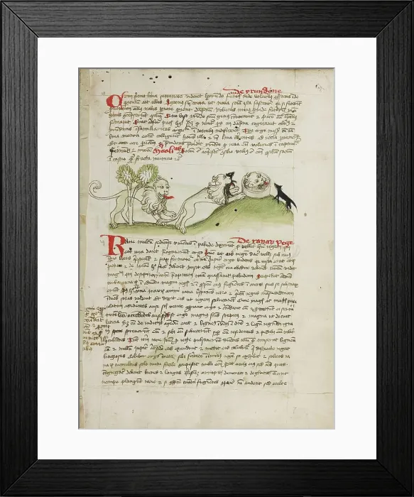 Framed Print : A Lion and Another Lion with a Mouse; Fables; Animal Fables, third quarter of 15th century. Creator: Unknown Framed Print : A Lion and Another Lion with a Mouse; Fables; Animal Fables, third quarter of 15th century. Creator: Unknown