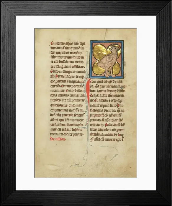 Framed Print : An Ostrich; De Natura Avium; De Pastoribus et Ovibus; Bestiarium, 1277 or after. Creator: Unknown Framed Print : An Ostrich; De Natura Avium; De Pastoribus et Ovibus; Bestiarium, 1277 or after. Creator: Unknown