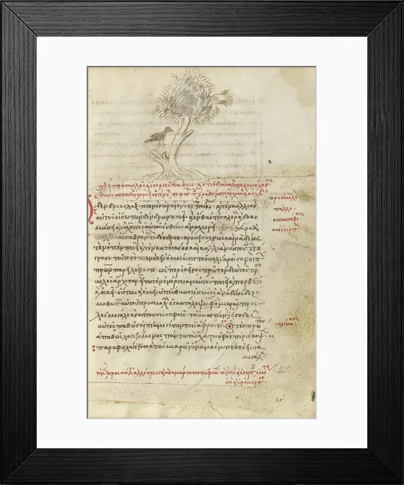 Framed Print : A Bird Sitting in a Tree; Miscellany: Physiologus: other texts, 1510-1520. Creator: Unknown Framed Print : A Bird Sitting in a Tree; Miscellany: Physiologus: other texts, 1510-1520. Creator: Unknown
