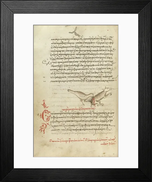 Framed Print : A Bird Pecking at an Animal; Miscellany: Physiologus: other texts, 1510-1520. Creator: Unknown Framed Print : A Bird Pecking at an Animal; Miscellany: Physiologus: other texts, 1510-1520. Creator: Unknown