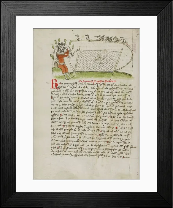 Framed Print : A Crowned Man Pointing to his Eyes and Holding a Net over a Bird, third quarter of 15th century. Creator: Unknown Framed Print : A Crowned Man Pointing to his Eyes and Holding a Net over a Bird, third quarter of 15th century. Creator: Unknown