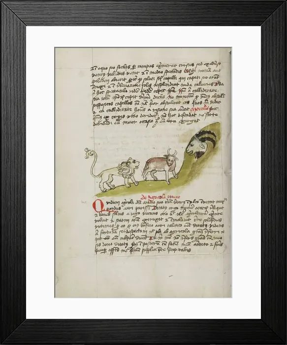 Framed Print : A Lion and an Ox before a Billy-Goat; Fables, third quarter of 15th century. Creator: Unknown Framed Print : A Lion and an Ox before a Billy-Goat; Fables, third quarter of 15th century. Creator: Unknown