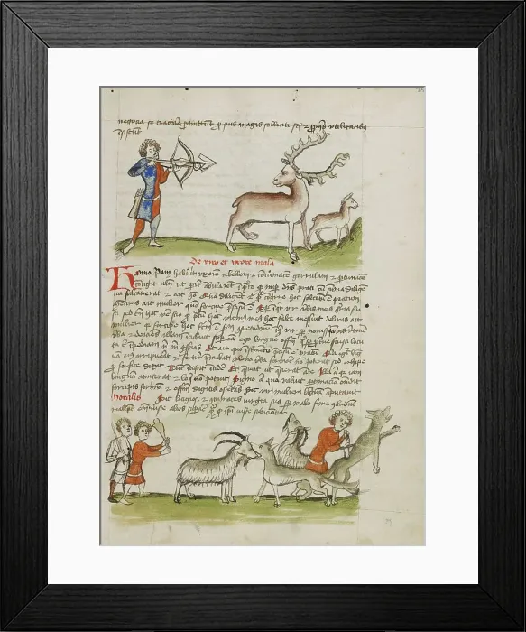 Framed Print : A Hunter Aiming an Arrow at a Stag, a Deer Standing Nearby... third quarter of 15th century. Creator: Unknown Framed Print : A Hunter Aiming an Arrow at a Stag, a Deer Standing Nearby... third quarter of 15th century. Creator: Unknown